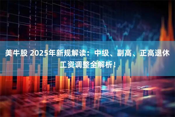 美牛股 2025年新规解读：中级、副高、正高退休工资调整全解析！
