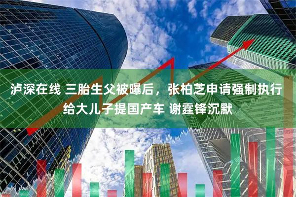 泸深在线 三胎生父被曝后,张柏芝申请强制执行 给大儿子提国产车 谢霆锋沉默